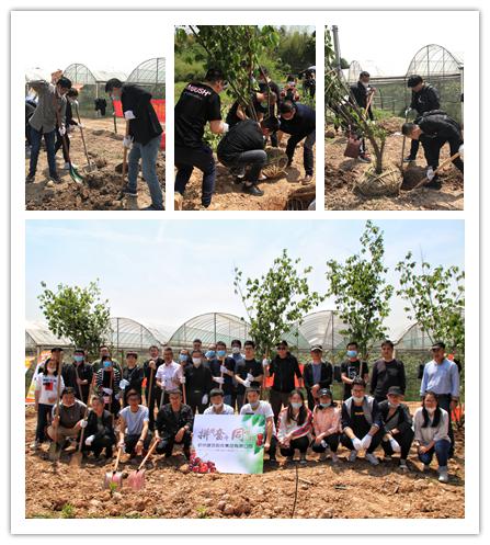 1594604302664792.jpg 1594604302664792.jpg